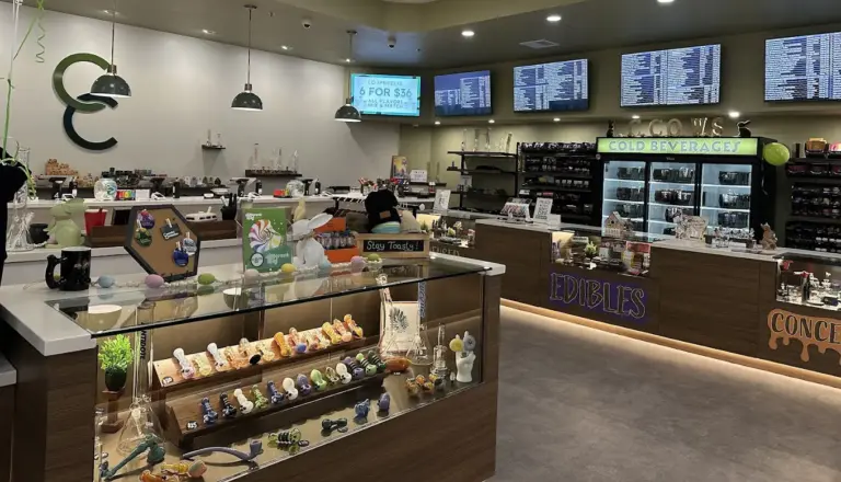 Cannabis Connection Stores West Springfield MA