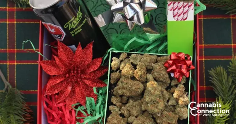 Cannabis Connection Blog Celebrate Cannabis Connection West Springfield’s 1-Year Cannaversary!